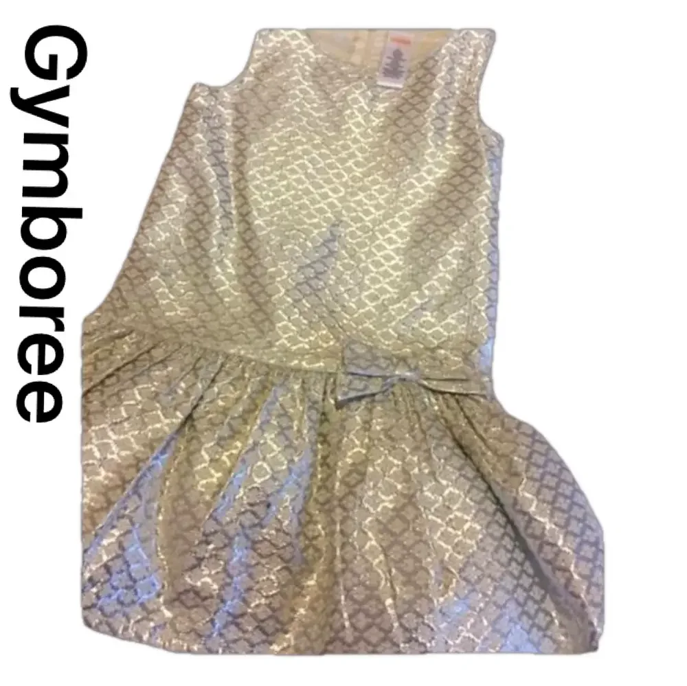 GYMBOREE lovely silver sleeveless dress EUC size 5t
